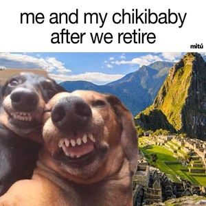 Meet your Posher, Irving